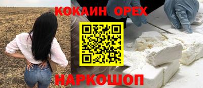 дмт Ярославль