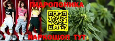 spice Ангарск