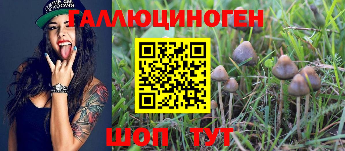 Галлюциногенные грибы прущие грибы  Галлюциногенные грибы мицелий  Азнакаево  Вход с VPN 